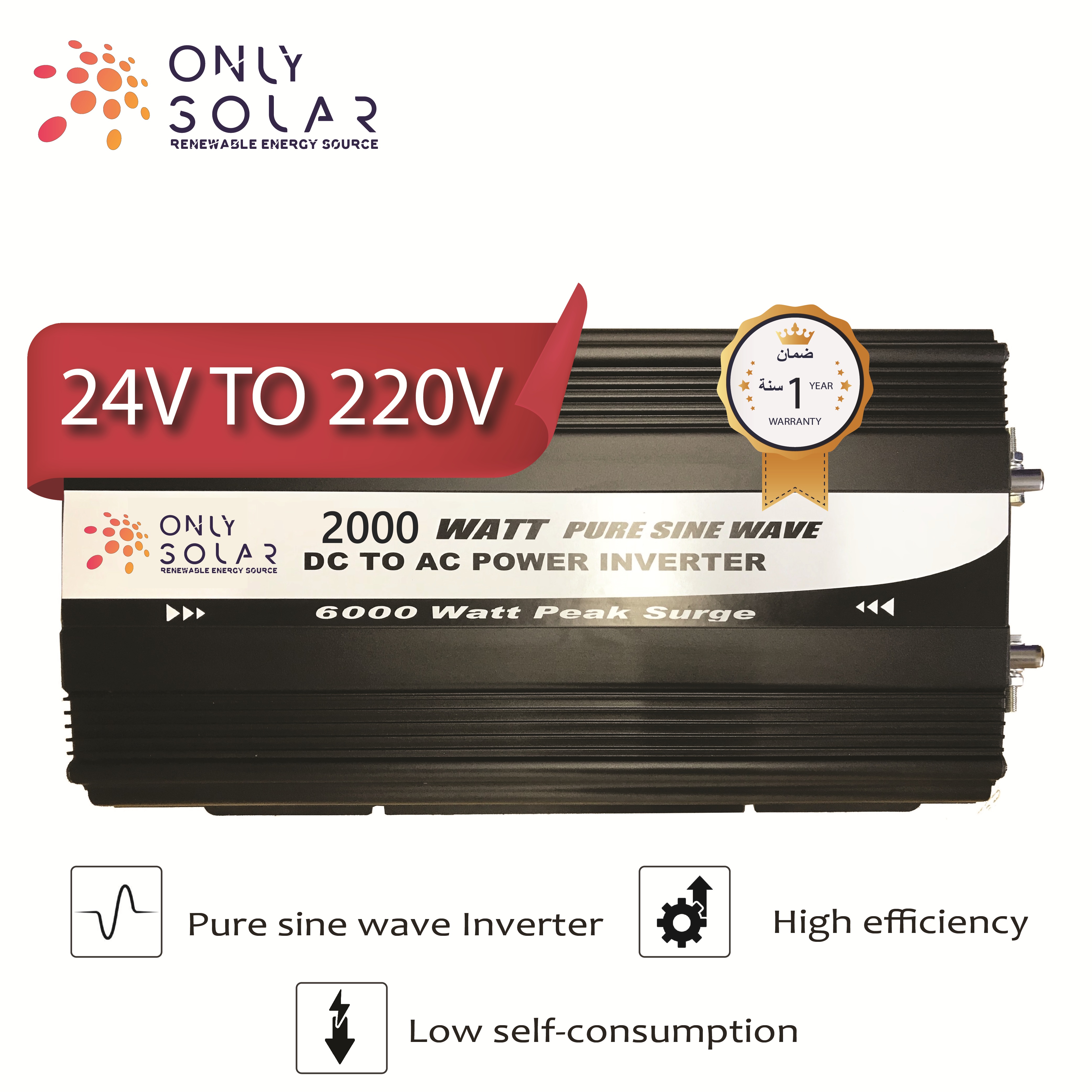 PPI Inverter 2KW 24V